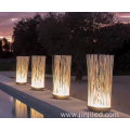 Fiber Optic Reed Lights
